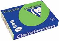Clairalfa Universal-Papier Trophée, A4, 120 g/qm, maigrün