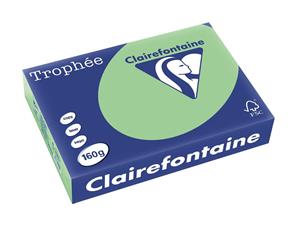 Clairefontaine Trophée Pastel A4, 160 g, 250 vel, natuurgroen