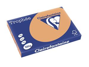 Clairefontaine Trophée Pastel A3, 120 g, 250 vel, mokkabruin