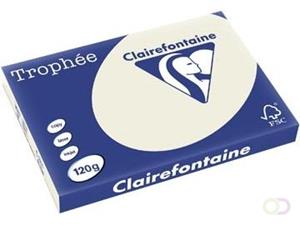 Clairefontaine Trophée Pastel A3, 120 g, 250 vel, parelgrijs