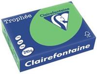 Clairalfa Multifunktionspapier Trophée, A4, maigrün