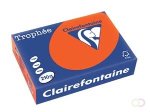 Clairefontaine Trophée Intens A4, 210 g, 250 vel, fel oranje