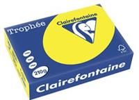 Clairefontaine Trophée Intens A4, 210 g, 250 vel, zonnegeel