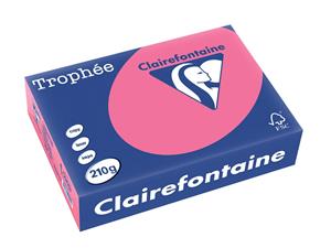 Clairalfa Multifunktionspapier Trophée, A4, 210 g/qm, eosin