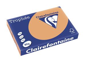 Clairefontaine Trophée Pastel A3, 80 g, 500 vel, mokkabruin