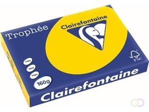 Clairefontaine Trophée Pastel A3, 160 g, 250 vel, goudgeel