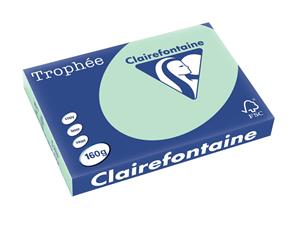 Clairefontaine Trophée Pastel A3, 160 g, 250 vel, groen