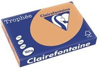 Clairefontaine Trophée Pastel A3, 160 g, 250 vel, mokkabruin