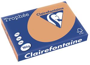 Clairefontaine Trophée Pastel A3, 160 g, 250 vel, mokkabruin