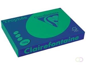 Clairefontaine Trophée Intens A3, 160 g, 250 vel, dennengroen