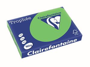 Clairalfa Multifunktionspapier, DIN A3, 160 g/qm, maigrün