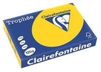 Clairalfa Universal-Papier Trophée, A4, 120 g/qm, goldgelb