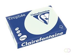 5 x Clairefontaine Kopierpapier Trophee A4 120g/qm VE=250 Blatt blaßgr