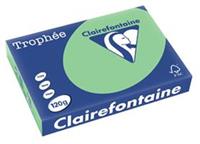 Clairalfa Universal-Papier Trophée, A4, 120 g/qm, naturgrün