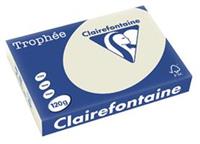 Clairalfa Universal-Papier Trophée, A4, 120 g/qm, grau