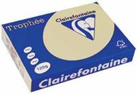 Clairalfa Universal-Papier Trophée, A4, 120 g/qm, chamois