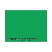 Fastprint Kopieerpapier  A4 120gr grasgroen 100vel