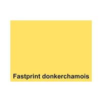 Fastprint Kopieerpapier  A4 80gr donkerchamois 500vel