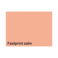 Fastprint Kopieerpapier  A4 80gr zalm 500vel