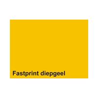 Fastprint Kopieerpapier  A4 120gr diepgeel 250vel