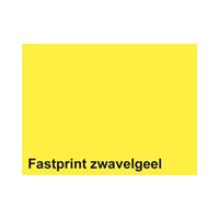 Fastprint Kopieerpapier  A4 160gr zwavelgeel 250vel