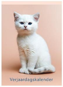 Lannoo Kittens Verjaardagskalender