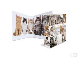 HERMA Motivordner , Animals, , DIN A4, Katzen