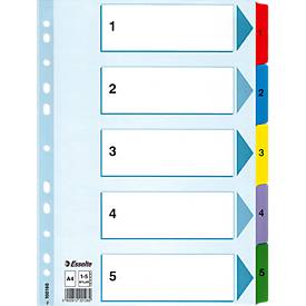 Esselte Kartonregister 100160 1-5 A4 160g farbige Taben 5-teilig