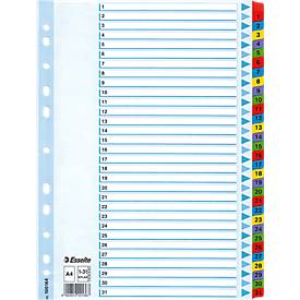 Esselte Mylar Indices & Dividers