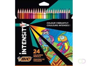 Bic kleurpotloden Color Up, ophangdoos met 24 stuks in geassorteerde kleuren