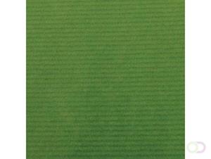 Canson kraftpapier ft 68 x 300 cm, groen