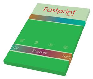 Fastprint Kopieerpapier  A4 120gr grasgroen 100vel