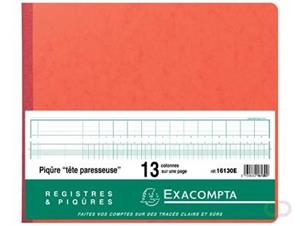 Exacompta registers, ft 27 x 32 cm, 13 kolommen op 1 bladzijde, 31 lijnen, 80 bladzijden