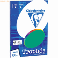 Clairefontaine Dennengroen A4 Gekleurd papier 80 grams (100 vel)