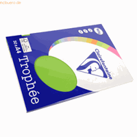 Clairefontaine Grasgroen A4 Gekleurd papier 160 grams (50 vel)