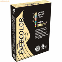 Clairefontaine Evercolor gekleurd gerecycleerd papier, A4, 80 g, 500 vel, geel