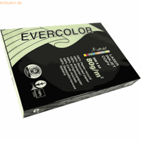 Clairefontaine Evercolor gekleurd gerecycleerd papier, A3, 80 g, 500 vel, lichtgroen