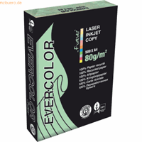 Clairefontaine Evercolor gekleurd gerecycleerd papier, A4, 80 g, 500 vel, lichtgroen