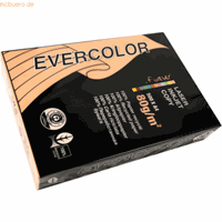 clairefontaine 5 x  Multifunktionspapier evercolor RC A4 210x297mm 80g/