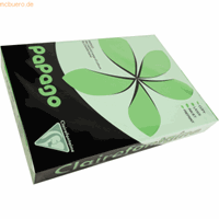 Gevouwen kaarten Clairefontaine Pollen (x25)