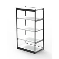 Kantoor-stellingsysteem, zonder achterwand, stellinghoogte 1900 mm, basisstelling, breedte x diepte = 1000 x 500 mm