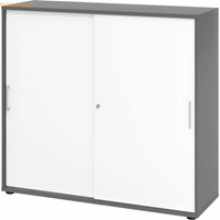 mcbuero.de Schiebetürenschrank Serie 9 3OH BxTxH 120x40x110cm Griff BS