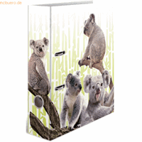 herma 10 x  Motivordner A4 70mm Exotische Tiere Koalafamilie