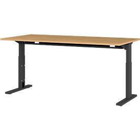 Home24 Bureau GW-Profi 2.0, Germania