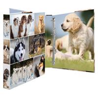 HERMA Animals Hunde Ringbuch 4-Ringe Motiv 3,5 cm DIN A4