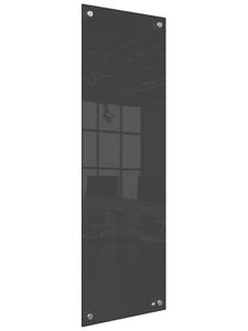 Glaspaneel smal 300 x 900 mm - Nobo