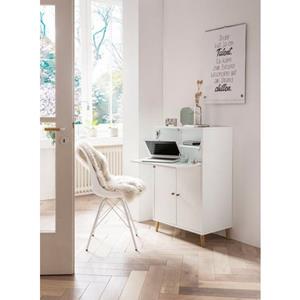 Schildmeyer Schreibtisch "Serie 500", Breite 65,2 cm, Sekretär Aktenschrank mit ausklappbarer Schreibplatte