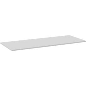 Tafelblad, 1600 x 800 mm, lichtgrijs