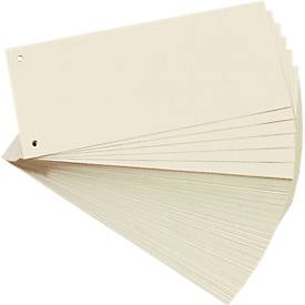 Herlitz Scheidingsstroken Buff Karton divstrcham 10843621 Pak van 100 stuks