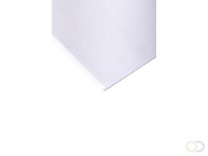 Clairefontaine Tekenpapier Exaclair 25vel 120gram 50x65cm